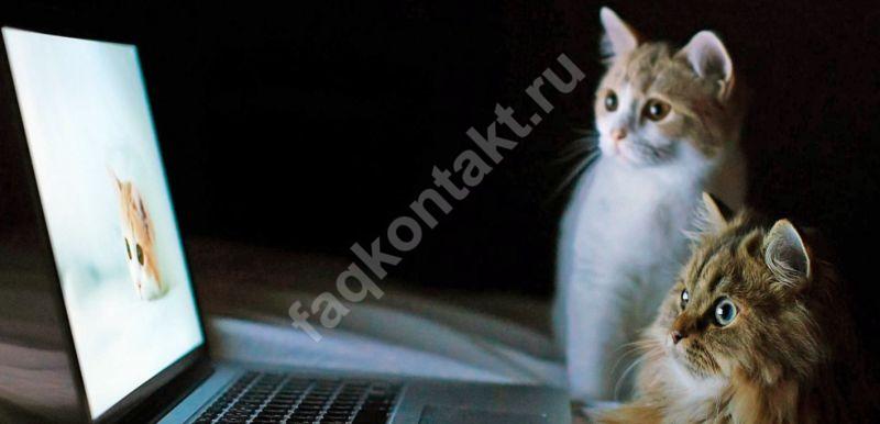 Как взломать чужую страницу Вконтакте и зайти на нее?
