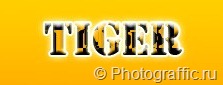 тигровый текст фотошоп